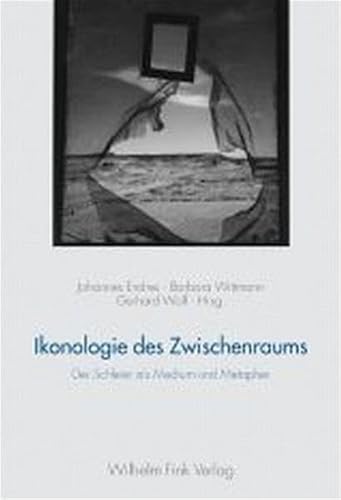 Ikonologie des Zwischenraums: Der Schleier als Medium und Metapher (Bild und Text) von Fink Wilhelm GmbH + Co.KG